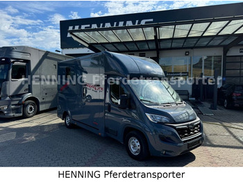 Opel Movano 3 - Sitzer *AUFBAU NEU* Opel Movano 3 - Sitzer *AUFBAU NEU* līzingu Opel Movano 3 - Sitzer *AUFBAU NEU* Opel Movano 3 - Sitzer *AUFBAU NEU*: foto 1