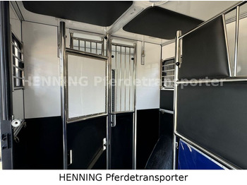 Opel Movano 3 - Sitzer *AUFBAU NEU* Opel Movano 3 - Sitzer *AUFBAU NEU* līzingu Opel Movano 3 - Sitzer *AUFBAU NEU* Opel Movano 3 - Sitzer *AUFBAU NEU*: foto 5