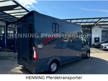 Opel Movano 3 - Sitzer *AUFBAU NEU* Opel Movano 3 - Sitzer *AUFBAU NEU* līzingu Opel Movano 3 - Sitzer *AUFBAU NEU* Opel Movano 3 - Sitzer *AUFBAU NEU*: foto 2