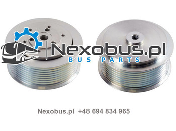 : fotogrāfija galvenē