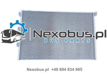 : fotogrāfija galvenē