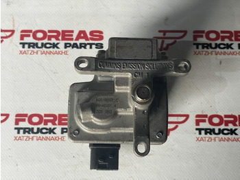 : fotogrāfija galvenē