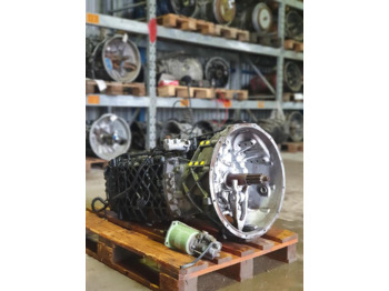 : fotogrāfija galvenē