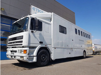 Zirgu kravas automašīna DAF 95 350