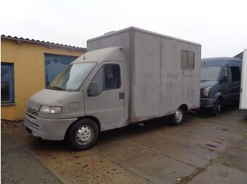 Zirgu kravas automašīna Peugeot Boxer Tiertransporter Pferdetransporter Klasse B: foto 1