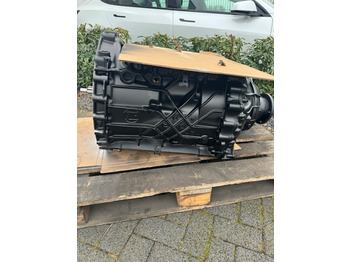 : fotogrāfija galvenē