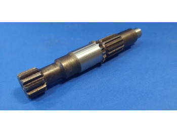 : fotogrāfija galvenē