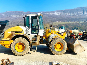 Riteņu iekrāvējs LIEBHERR Chargeuse L524 10T: foto 5
