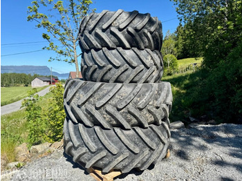 : fotogrāfija galvenē