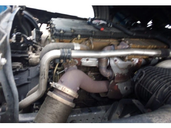 : fotogrāfija galvenē