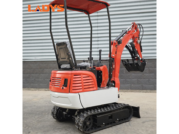 Jaunā Mini-ekskavators LADYS DY12Pro Mini Excavator CE Certification Kubota Engine(Factory Outlet) Mini Pelle Minibagger Minikoparka Miniexcavadora: foto 3