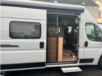 Weinsberg CaraBus 600 DQ līzingu Weinsberg CaraBus 600 DQ: foto 3