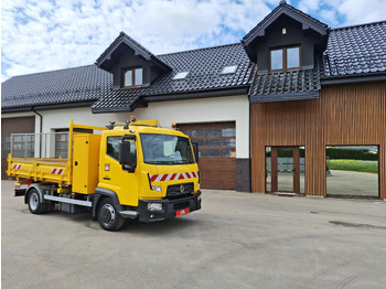 Kravas automašīna pašizgāzējs RENAULT D