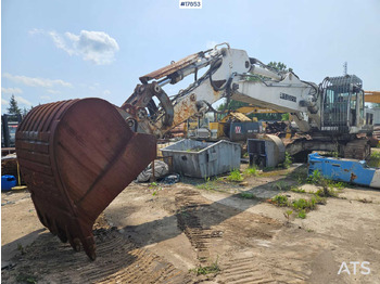 Kāpurķēžu ekskavators LIEBHERR R 954