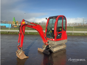 Mini-ekskavators JCB 8016