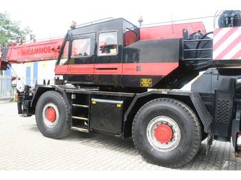 Visurgājējs celtnis Tadano TR300EX NVT: foto 4