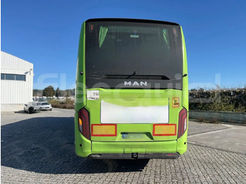 Starppilsētu autobuss Man Lion's Coach: foto 5