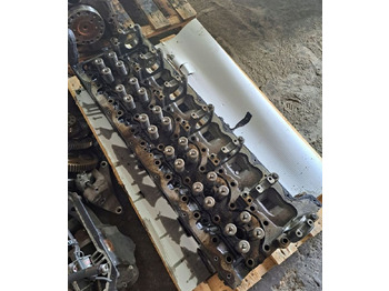 Motora galva RENAULT Magnum