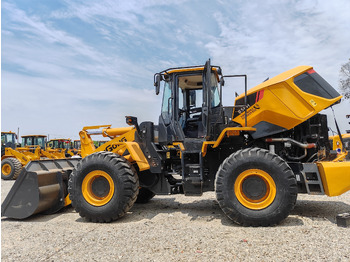 Kāpurķēžu ekskavators LIUGONG