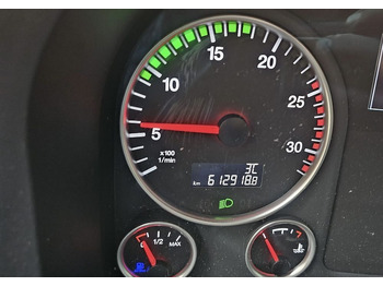 Vilcējs MAN TGS 18.460 2018 NAUKA JAZDY POLIFT FULL ELKA AUTOMAT 4x2 STANDARD 315/70r22.5 SUPER STAN TGX 470 460 420 430 500 510 400 360 410: foto 5