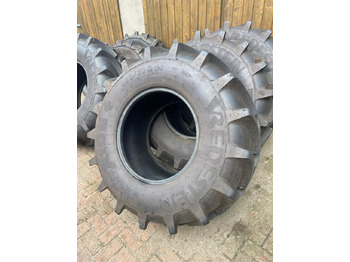 : fotogrāfija galvenē