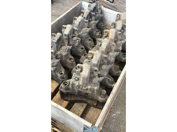 : fotogrāfija galvenē