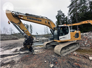 : fotogrāfija galvenē