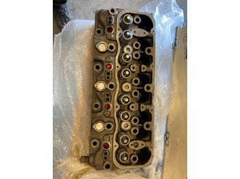 : fotogrāfija galvenē