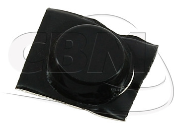 : fotogrāfija galvenē