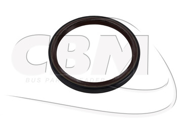Rumba IRISBUS