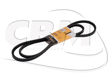 : fotogrāfija galvenē