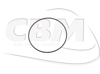 : fotogrāfija galvenē