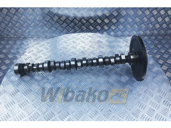 Sadales vārpsta CATERPILLAR