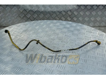 : fotogrāfija galvenē