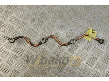 : fotogrāfija galvenē