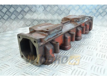 : fotogrāfija galvenē