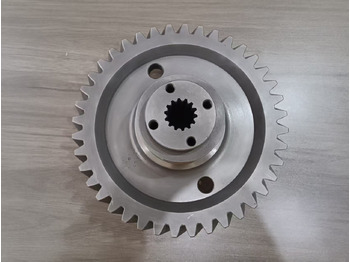 : fotogrāfija galvenē