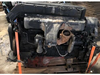 : fotogrāfija galvenē