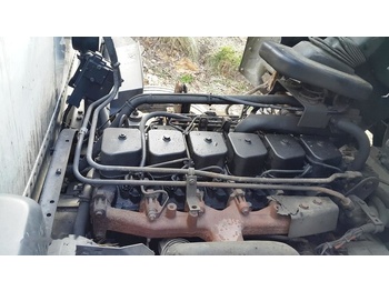 : fotogrāfija galvenē