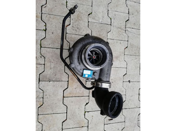 : fotogrāfija galvenē