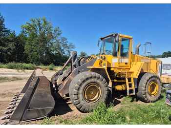 : fotogrāfija galvenē