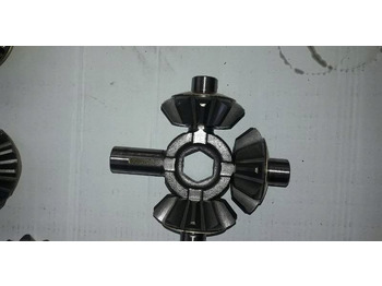 : fotogrāfija galvenē