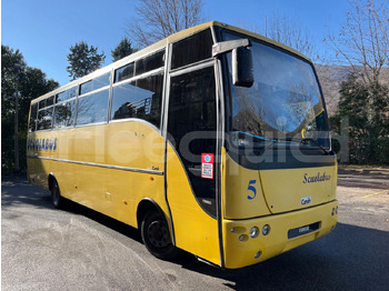 Skolas autobuss IVECO