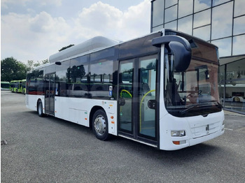 Pilsētas autobuss MAN Lion's City A21