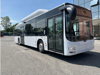 Pilsētas autobuss MAN Lion's City A21