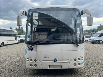Piepilsētas autobuss TEMSA