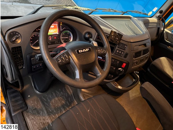 Vilcējs DAF XF 460 EURO 6: foto 5