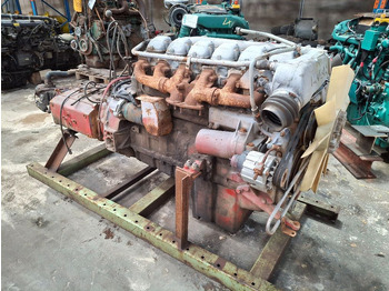 : fotogrāfija galvenē