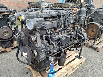 : fotogrāfija galvenē