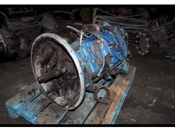 : fotogrāfija galvenē